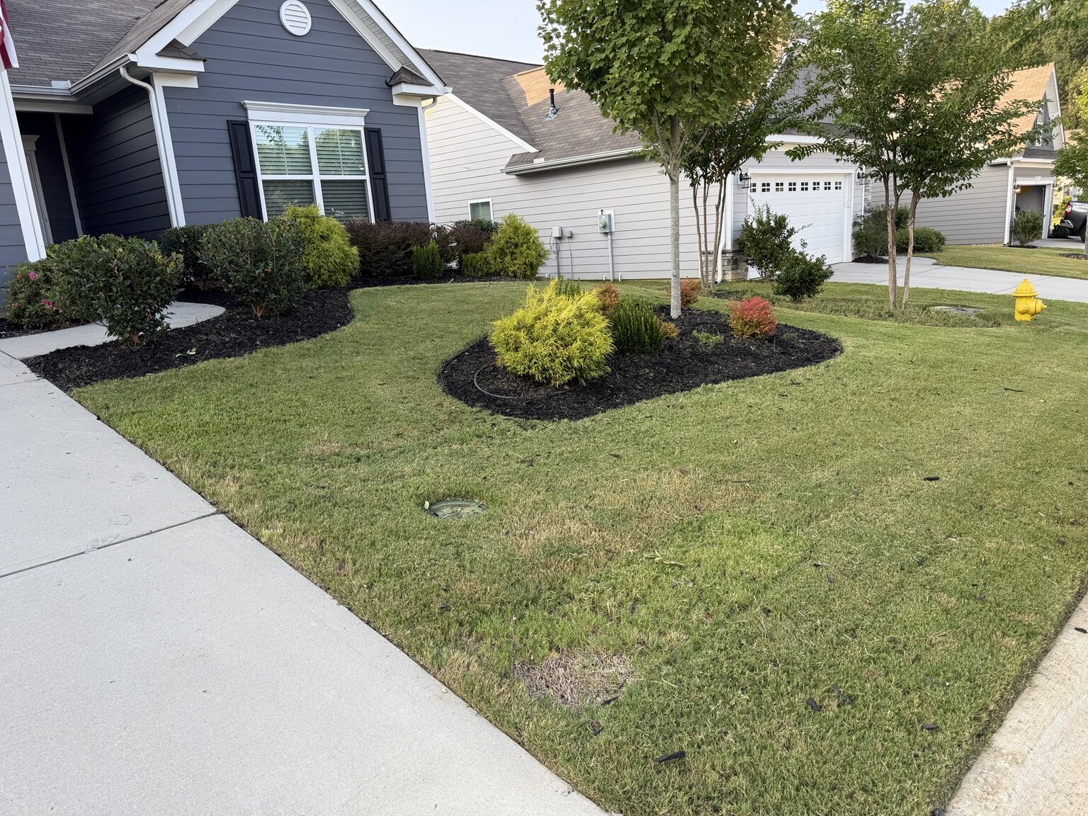 Freshly shaped landscape beds with dark mulch and trimmed shrubs