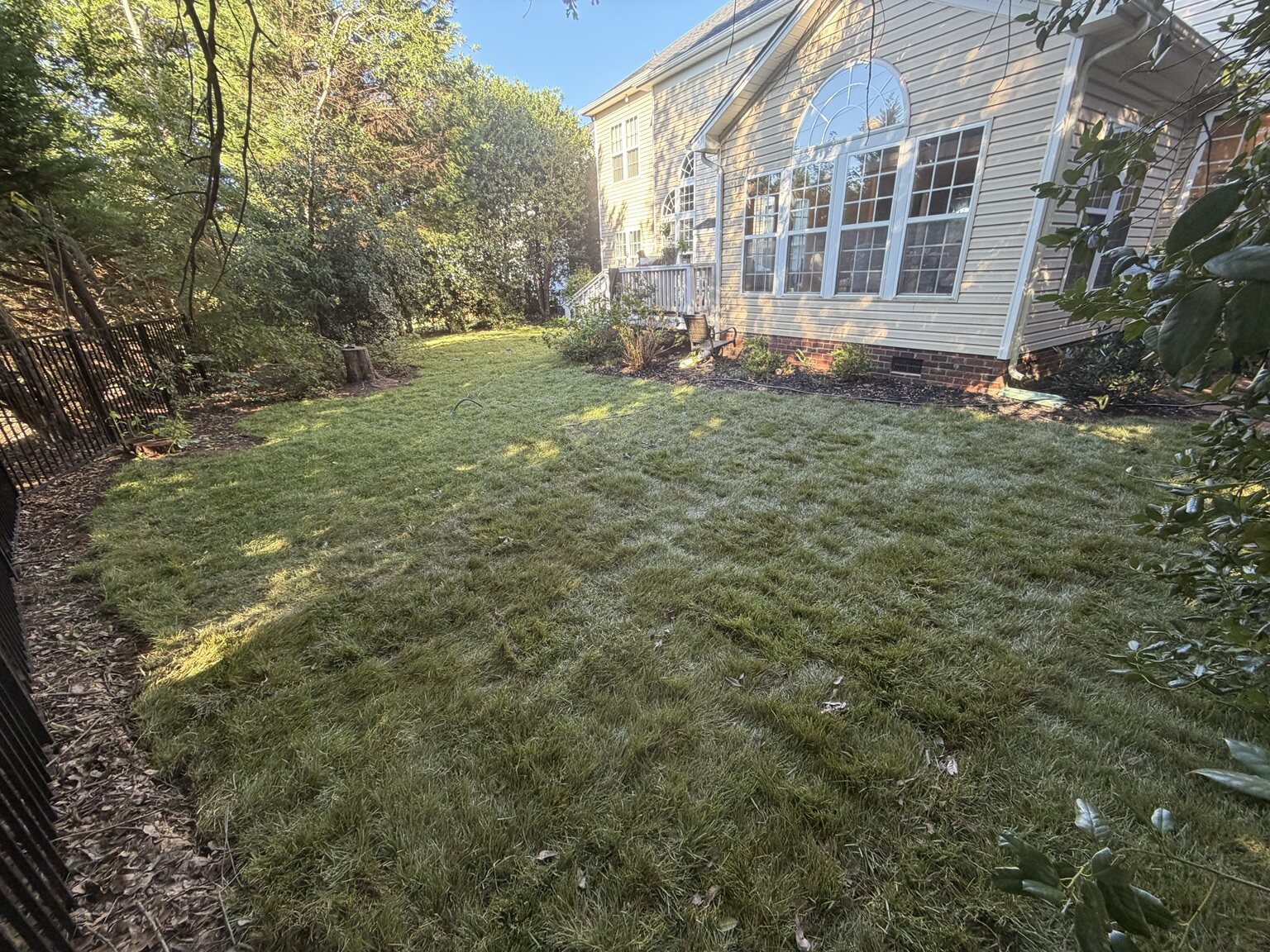 New sod installed beside a home in a shaded backyard